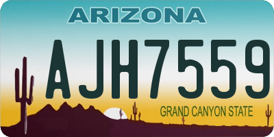 AZ license plate AJH7559