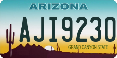 AZ license plate AJI9230