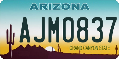 AZ license plate AJM0837