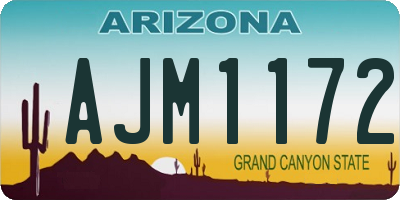 AZ license plate AJM1172