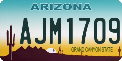 AZ license plate AJM1709