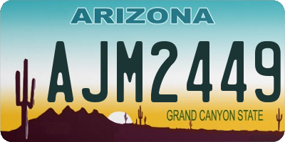 AZ license plate AJM2449