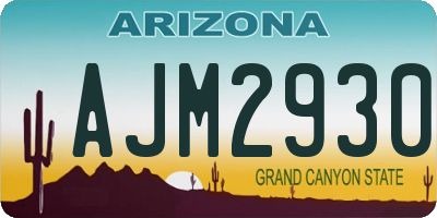 AZ license plate AJM2930