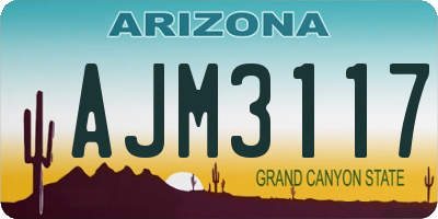 AZ license plate AJM3117