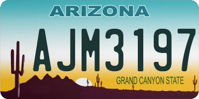 AZ license plate AJM3197