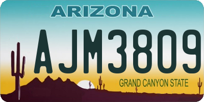 AZ license plate AJM3809