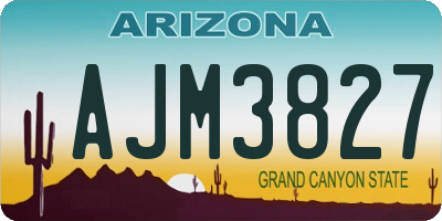 AZ license plate AJM3827