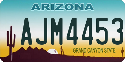 AZ license plate AJM4453