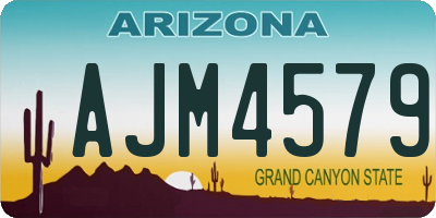 AZ license plate AJM4579