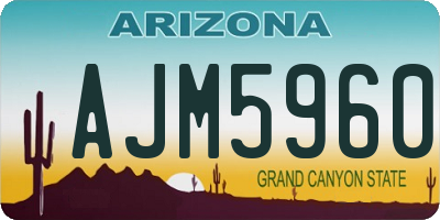 AZ license plate AJM5960