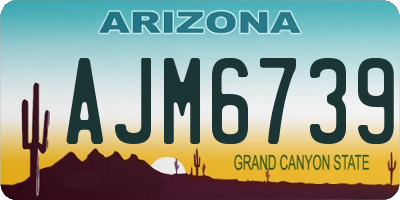 AZ license plate AJM6739