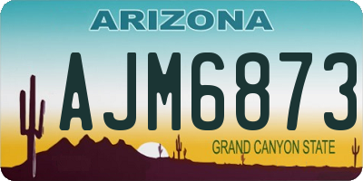 AZ license plate AJM6873