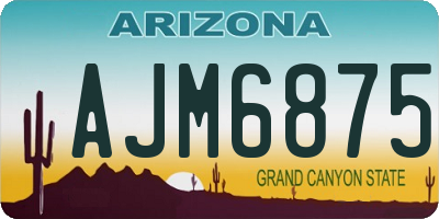 AZ license plate AJM6875