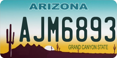 AZ license plate AJM6893
