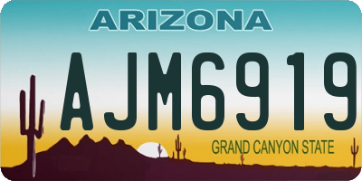 AZ license plate AJM6919