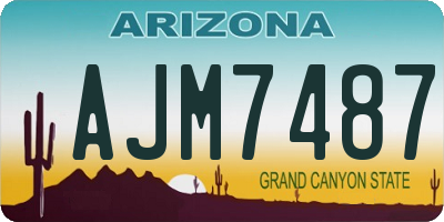 AZ license plate AJM7487