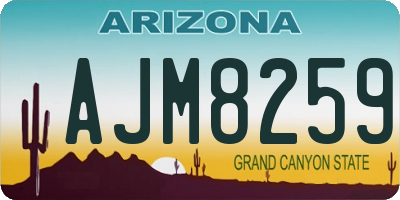 AZ license plate AJM8259