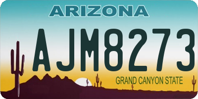 AZ license plate AJM8273