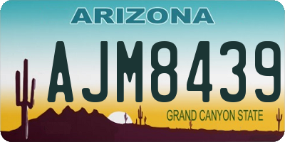 AZ license plate AJM8439