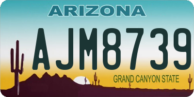 AZ license plate AJM8739