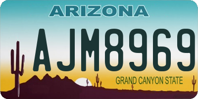 AZ license plate AJM8969