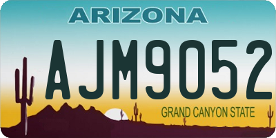 AZ license plate AJM9052
