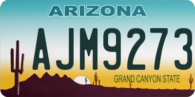 AZ license plate AJM9273