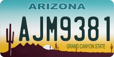 AZ license plate AJM9381