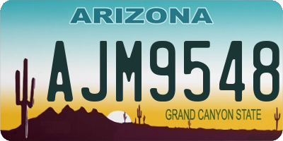 AZ license plate AJM9548