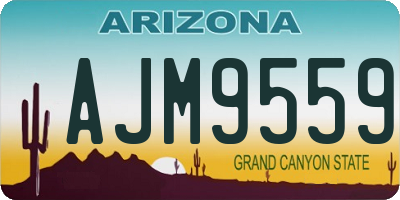AZ license plate AJM9559