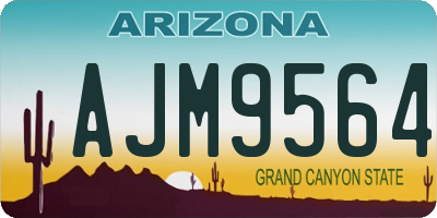 AZ license plate AJM9564
