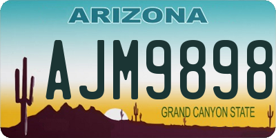 AZ license plate AJM9898