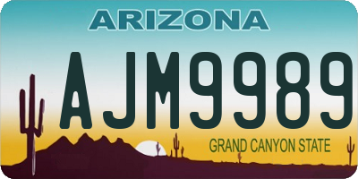 AZ license plate AJM9989