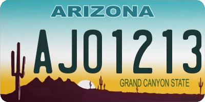 AZ license plate AJO1213