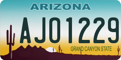 AZ license plate AJO1229