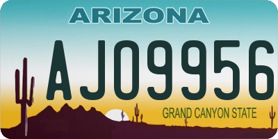 AZ license plate AJO9956