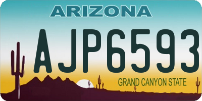 AZ license plate AJP6593