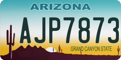 AZ license plate AJP7873