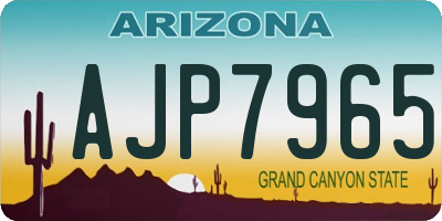 AZ license plate AJP7965