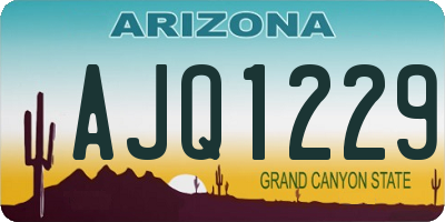 AZ license plate AJQ1229