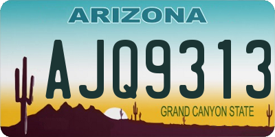 AZ license plate AJQ9313