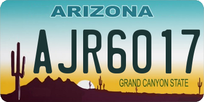 AZ license plate AJR6017