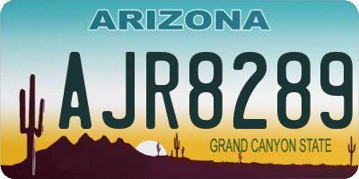 AZ license plate AJR8289
