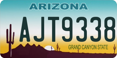 AZ license plate AJT9338