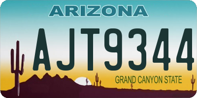 AZ license plate AJT9344