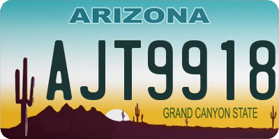 AZ license plate AJT9918