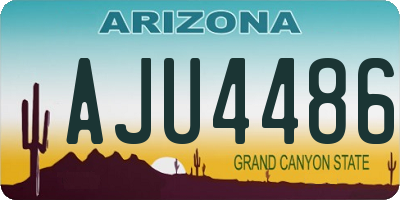 AZ license plate AJU4486