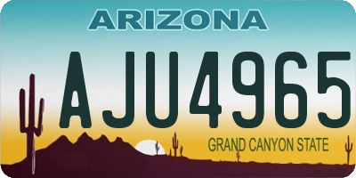 AZ license plate AJU4965