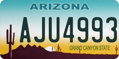 AZ license plate AJU4993