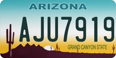 AZ license plate AJU7919